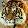 Фото профиля Antonio González Bernal