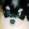 Profilbild von さくら🌸