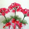 nurul annis_01 profil fotoğrafı