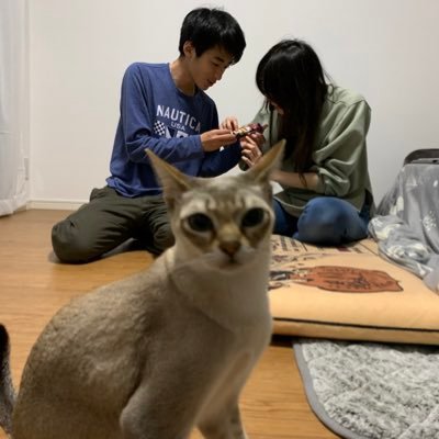 同居人's profile picture