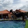 Фото профиля NtabaN Gh 🇳🇬🇬🇭