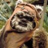 charles canali's profile picture