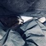 lazycat92 的头像