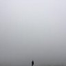 Elias Fuentes's profile picture