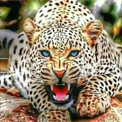 Tshepi40875065's profile picture