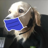 Fluffy programmer. 的头像