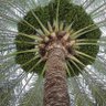 Фото профиля said alqasabi