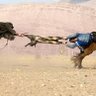 Фото профиля The Last Goatbender