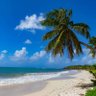 Фото профиля 🇲🇫 🇬🇵 🇸🇽 O. Carine