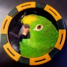 Lin Weisenstein's profile picture