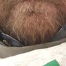 Lost In Line's profile picture