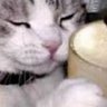 Profilbild von Nobody