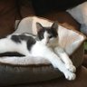 grasshopper's profile picture