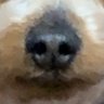 Profilbild von ピアノってセクシーだよね