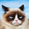 Profilbild von VC
