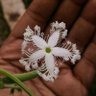 Фото профиля فيصل🌱