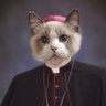 Holy Cats 🇺🇲🇵🇱 的头像
