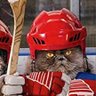 Фото профиля HockeyMomNC