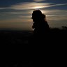 Filo Pedani's profile picture