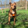 MIMI_ALI's profile picture