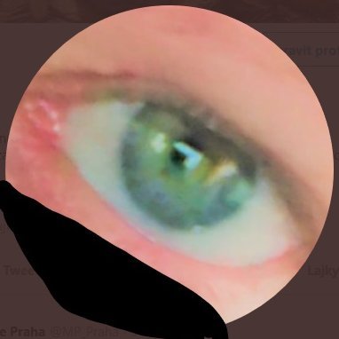 PECHOVAMARIE 3's profile picture