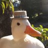 Profilbild von Dallas Smith