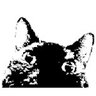 I Thought I Heard A Sound Blog's profile picture