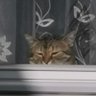Clumsy profil fotoğrafı
