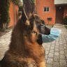 😊 profil fotoğrafı