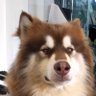 Bkkman profil fotoğrafı