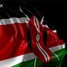 254_Insights's profile picture