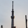 はるみよねやま 的头像