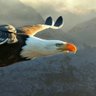 Mario profil fotoğrafı
