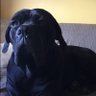 FireJEP's profile picture