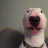 Special profil fotoğrafı