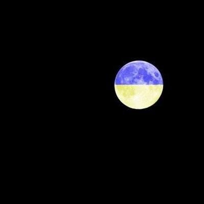 Cellodidas89's profile picture