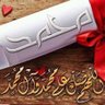 Tariq Eldeeb 的头像
