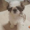 はたやーん's profile picture