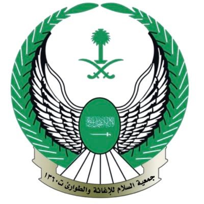 salam_org's profile picture