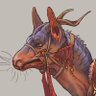 Iris's profile picture