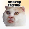 Oz и ещё 102 человека profil fotoğrafı