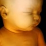 Right To Life Livingston County 的头像