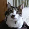 沙羅's profile picture