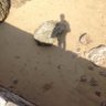 강 아디 profil fotoğrafı