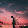 Ehsan 的头像