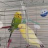 Onder profil fotoğrafı