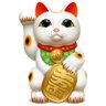 Junjie Zeng profil fotoğrafı