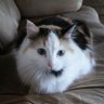 Judy Kluthe's profile picture