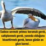 Ak_deniz40 profil fotoğrafı
