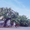 TMXkong's profile picture